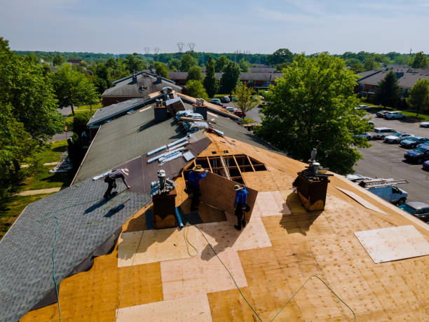 Trusted Roof Replacement service in Roxobel, NC - Brentwood Metal Roofing